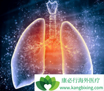 ����᲼(nintednib)�����ڼ仼�߿���������