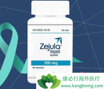 ��������(Zejula)�óԲ��˰���������ѳ���������ȼϣ��