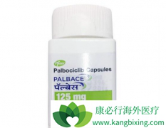 ȫ���׿���ư���������(palbonix)�����ϼ����̿���˾������