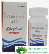 ��������(Sorafenib)�������Ƹΰ�������ڸ����͸���ת�ƵĹ���