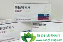 PARP���Ƽ���Ŀǰ���ٰ����Ƶ���ѡ����֮һ