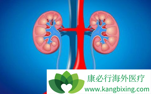 帕唑帕尼 帕唑帕尼