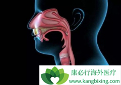 ���ᵥ��(Vectibix)���ܸ���ʳ���۰����������ڵ�ԭ��