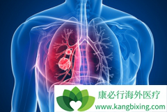 �������������ư���������ҩ�ķΰ�������