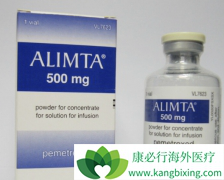 NSCLC���߳���ʹ�û���ҩ������̩/����������ע����Щ���