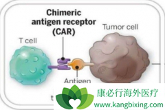 CAR-Tϸ�������Ʒ�tisagenlecleucel���ٴ���Ч