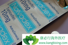 ��Ī����(tamoxifen)�����ڼ�����Щ��ʳ���ɣ�