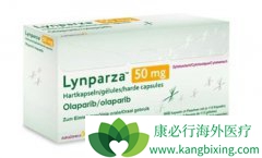 ��������(Olaparib)���ڸ����ѳ������Ƶ���Ч�밲ȫ����Σ�