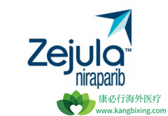 ��������(Zejula)�ı������е��ѳ�������ģʽ��