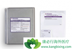 CAR-Tϸ���Ʒ��Ļ���Ϊ����ѪҺ���������ṩ���µ�ѡ��