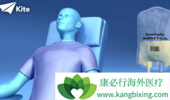 ʹ��CAR-T�Ʒ�����ѪҺ��������IbrutinibЧ�������