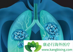 Ϊʲô���ڰ�������(alectinibum)�ĸ�ҩ�������ձ���ͬ��