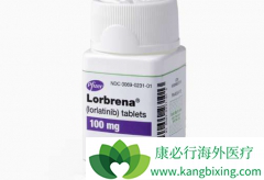 ALK���Է�Сϸ���ΰ�һ������ʹ���������ᣨLorbrena������Ч��