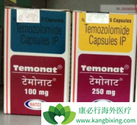 ��Ī��(temozolomide)���ƴ�������ʱ�ĸ�ҩ����