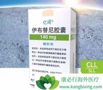 ��������/��³������ȫ���׸��������е�BTK���Ƽ�