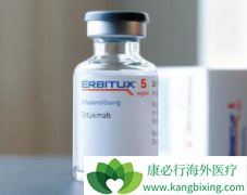 ����������(cetuximab)���ϲ��໯�ƶ�ͷ�����۰����ߵ���Ч�밲ȫ��