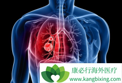 �ϼ����沼������(Brigatinib)������Ч�ø�����С�۸񻹺�������