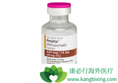 �����鵥���������鵥���������ƿ��Խ���HER2���������ٰ���������