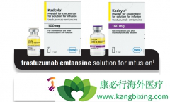 HER2�����������ٰ���ҩT-DM1�������鵥���Ĺ�ϵ