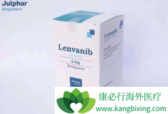 �ַ�����(Lenvaib)�ܹ���������ķ����������������