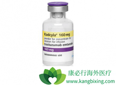 KADCYLA�����鵥��������͡���뻯��ҩ��DM1���������֣������ҩ��