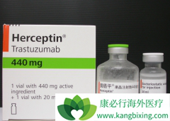 �����鵥���Ǹı���HER2�������ٰ�������ʷ��ҩ��