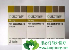 ��������(Afatinib)�������ڷ��۰����Ÿ��ߵĳɱ�����