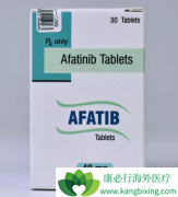 ��������(Afatinib)�뻯��ҩ���û���ʵ��T790M����ͻ��ת��