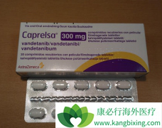 ���������EGFR�ΰ�����Ƥ�ͱ�Ƥϸ���������Ӷ�����������