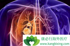 ��������/��ʥɯ���ٴ�Ч����ʤ������