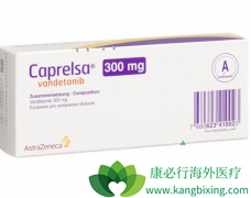 VEGFR�Ƿ���������Ҫ�ķ�Сϸ���ΰ����ưе�֮һ