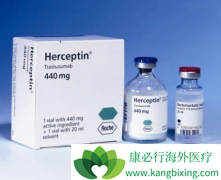 ����ҩ�������鵥�������ٰ������и���ʹ�÷���