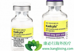 �����вд没������ٰ����߶��ܴ�Kadcyla�����л���