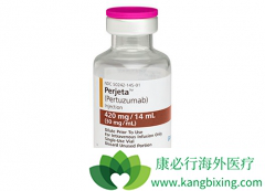 �����鵥���������鵥���ǳ�����HER2�������ٰ�������ҩ