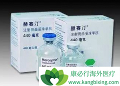 ����͡�ں���ҽ��ָ���б���Ϊһ��HER-2����ҩ��