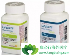 ��һ��������ҩ��PARP���Ƽ������������ư�֢��Ч����ô����