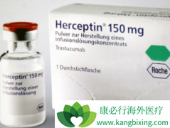 ����͡/�����鵥����HER2�������ٰ������ƻ���