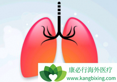 ��ƥľ��������������Сϸ���ΰ����Ƶ�����ҩ��