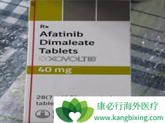 ����PFS���ư�������(Afanix)�����ӳ�����ʧ��ʱ��