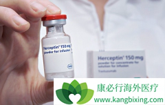 �����鵥����������HER2�������ٰ�����Щ�ŵ㣿