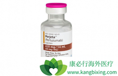 �����鵥�����������鵥������HER2�����������ٰ�����Ч��ô����