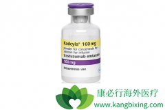 T-DM1������Ч���������鵥������