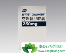 ������������Բ�ɱ�ΰ�ϸ���ɽ������ڻ�������ʹ��