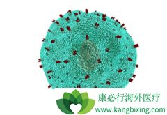 CAR-Tϸ���Ʒ��Ƕ෢�Թ����������е�һ������