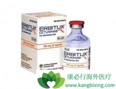 ��������������(Cetuximab)����ҩ���о�