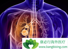 ����ҩ������������ȷ����ͻ��ķ�Сϸ���ΰ�����Ҫ�ֶ�