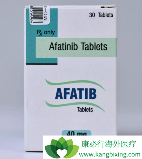 阿法替尼 阿法替尼