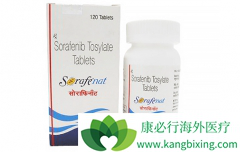 ��������/�༪�������ڸ�ϸ�������ߵı�׼����ҩ��