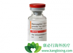 HER2�����������ٰ�ʹ�������鵥�����������鵥��������ô����