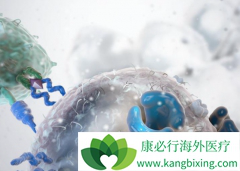 ������ֲ�ǹ���CAR-T�Ʒ��󻺽�ĺ÷���